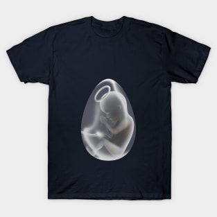 Baby in The Egg Maternity T-Shirt